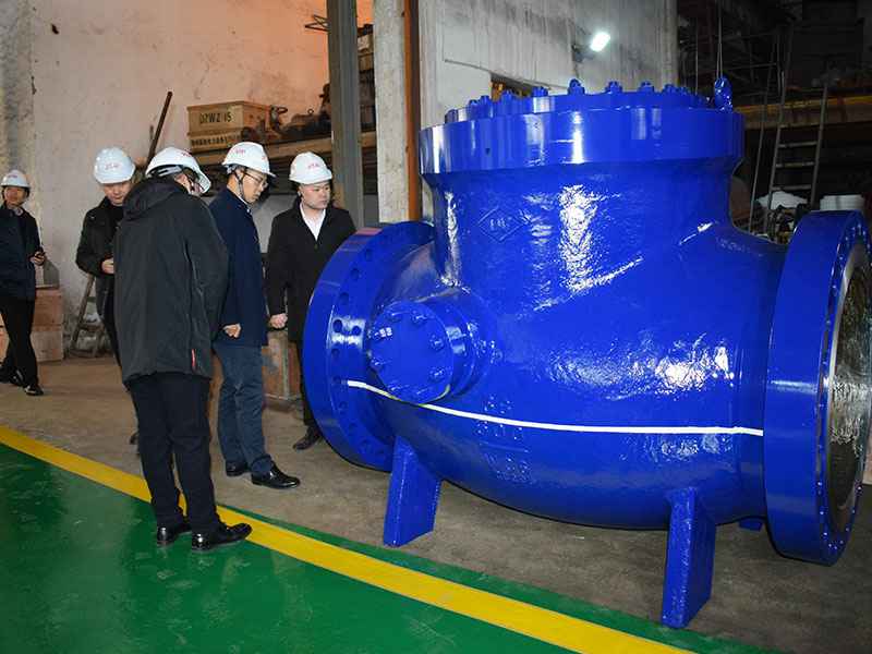 苗市长走访B体育网页版-B体育(中国)官方在线登录集团